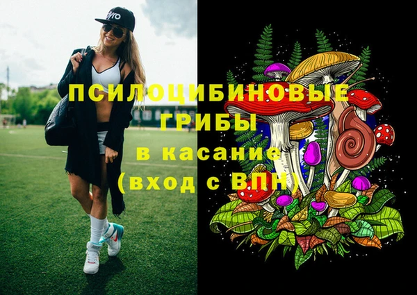 мяу мяу мука Армянск