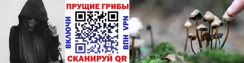 мега ТОР  Каневская  Псилоцибиновые грибы Psilocybine cubensis 
